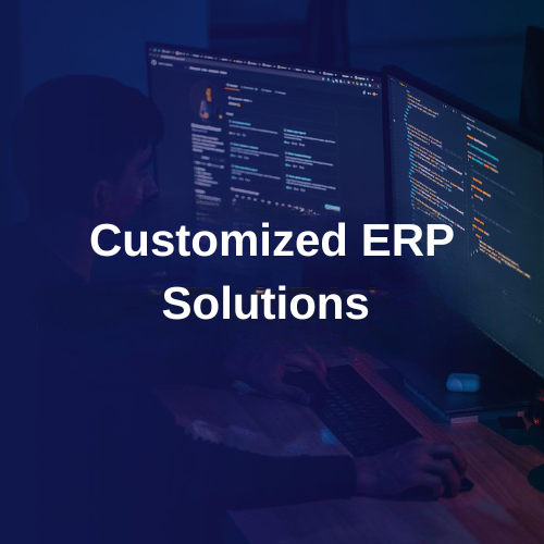 Customized ERP Solutions